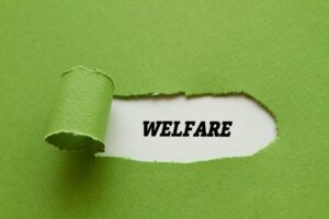 Foglio verde strappato che rivela la parola ‘welfare’ su sfondo bianco.