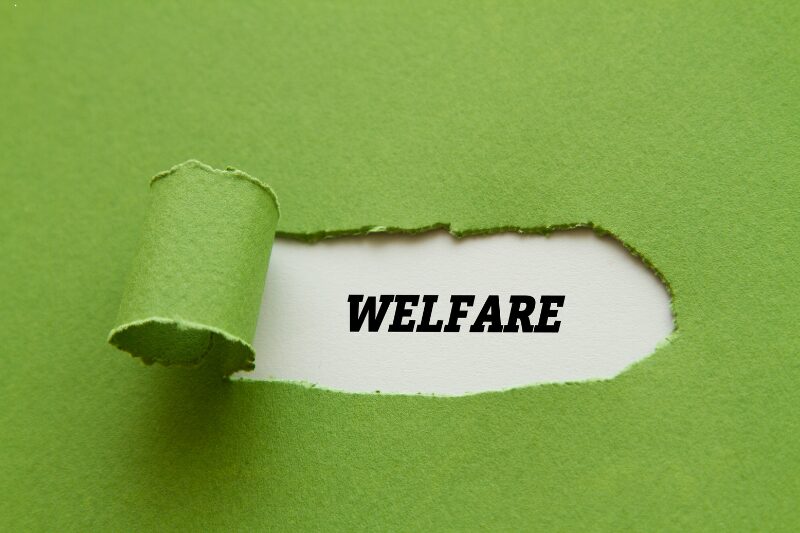 Foglio verde strappato che rivela la parola ‘welfare’ su sfondo bianco.